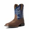 Kid's Ariat Youth Sorting Pen Chocolate/Navy Boot Kids Boots