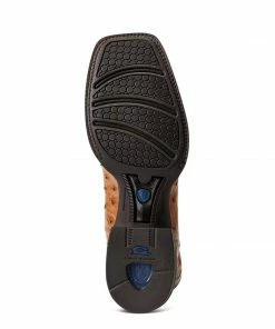 Men's Ariat Quantum Primo Western Boot Exotic Boots 6 Men's Ariat Quantum Primo Western Boot Exotic Boots