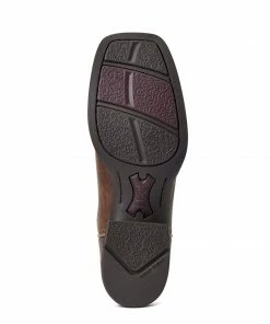 Boots Women's Ariat West Bound Western Boot